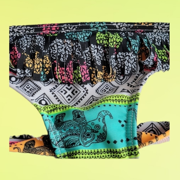 Multicolored Bikini Bottom - Picture 3 of 5